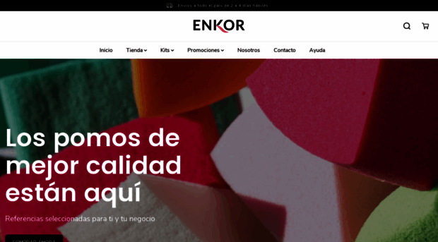 enkorprofesional.com