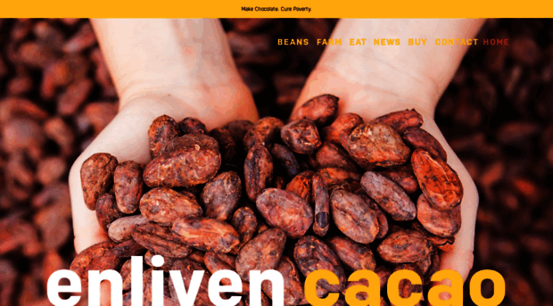 enlivencacao.org