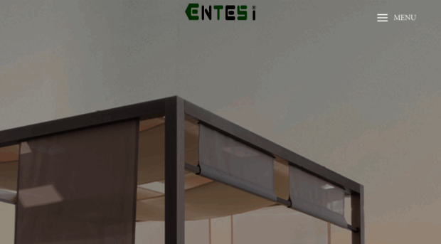 entesicn.com