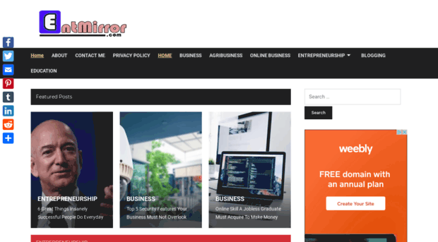 entmirror.com