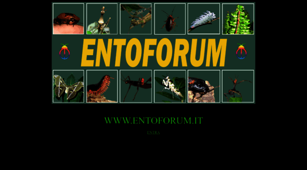 entoforum.it
