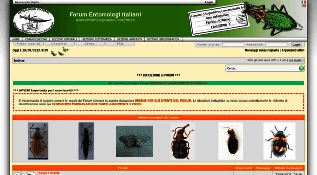 entomologiitaliani.net