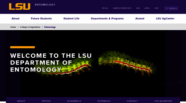 entomology.lsu.edu