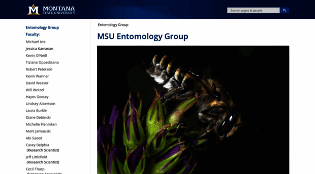 entomology.montana.edu