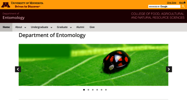 entomology.umn.edu