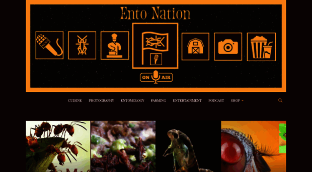 entonation.com