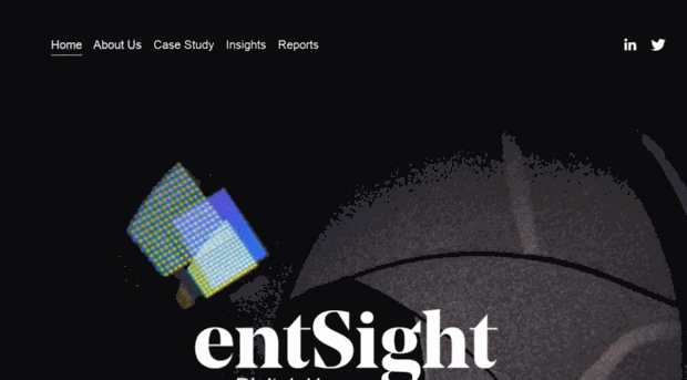 entsight.com