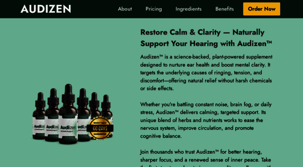 enus-audizen.com
