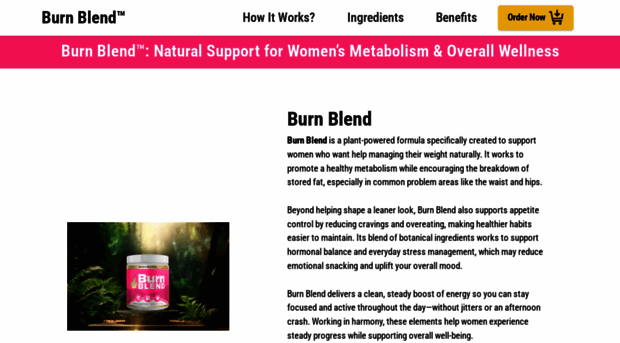 enus-burnblend.com