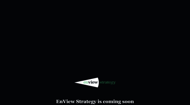 enviewstrategy.com