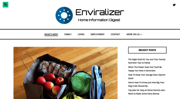 enviralizer.com