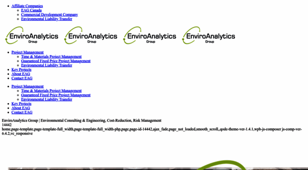 enviroanalyticsgroup.com