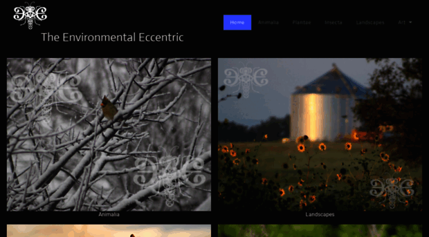 environmentaleccentricart.com