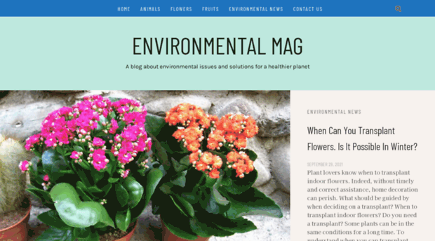 environmentalmag.net