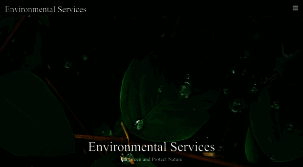 environmentalservices.in