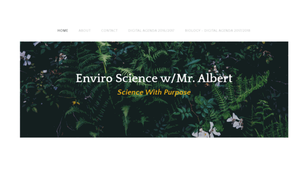 envirosciwithmralbert.weebly.com