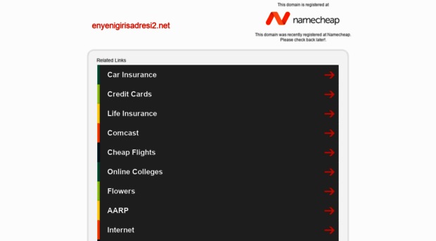 enyenigirisadresi2.net