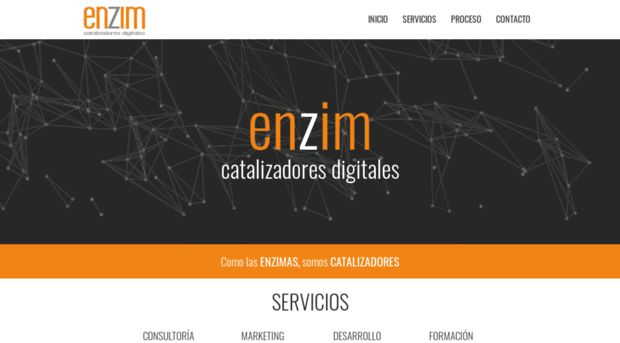 enzimdigital.com