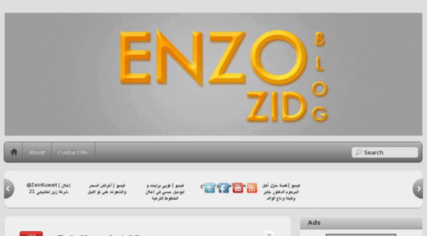 enzozid.net