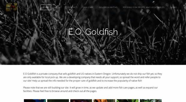eogoldfish.weebly.com