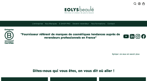 eolys-b2b.com