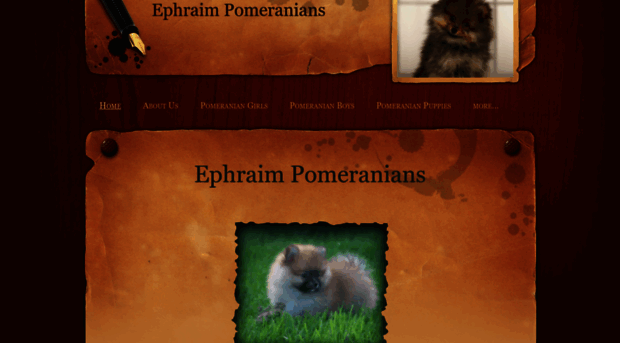 ephraimkennel.weebly.com