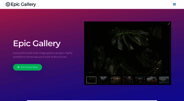 epic-gallery.jegtheme.com