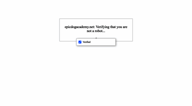 epicdogacademy.net