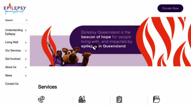 epilepsyqueensland.com.au