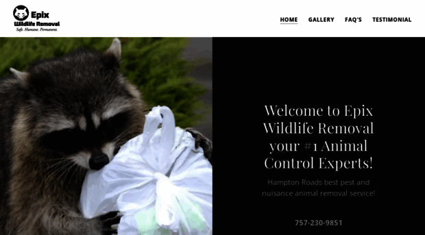 epixwildliferemoval.com