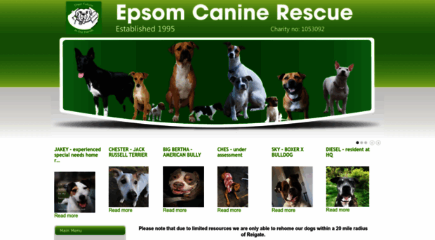 epsomcaninerescue.co.uk