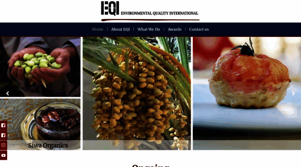 eqi.com.eg