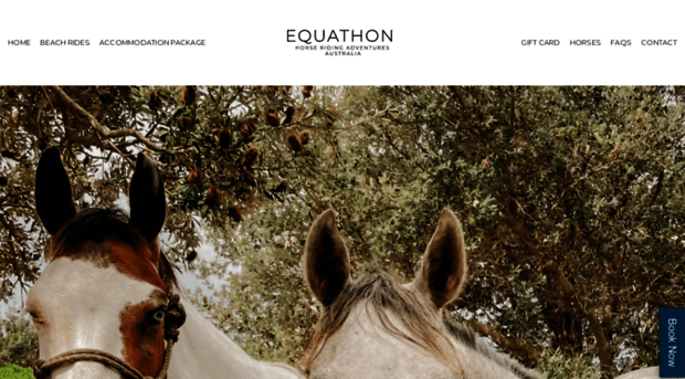 equathon.com