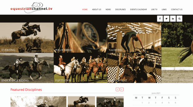 equestrianchannel.tv