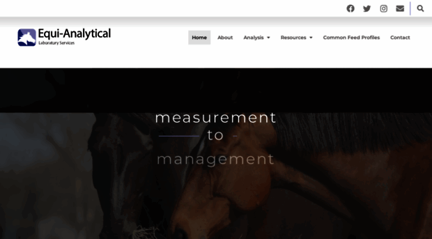 equi-analytical.com