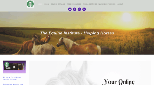 equi-libriuminstitute.com