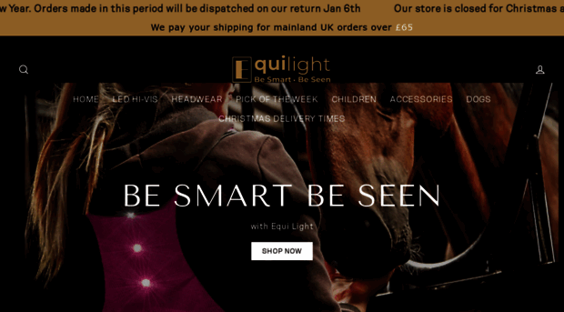 equi-light.com