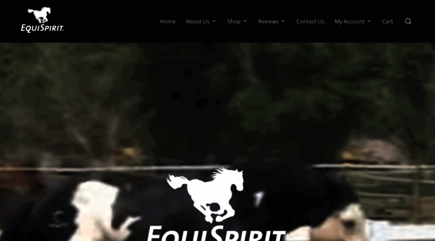 equi-spirit-toys.com