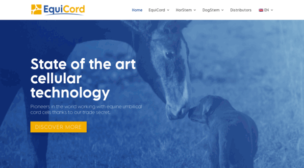 equicord.com