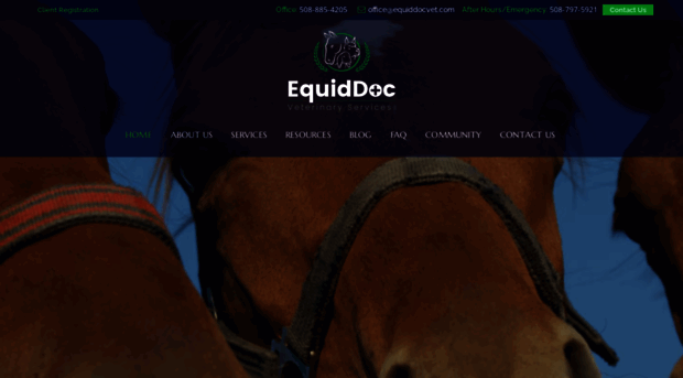 equiddocvet.com