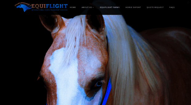 equiflightfarms.com