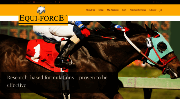 equiforce.com