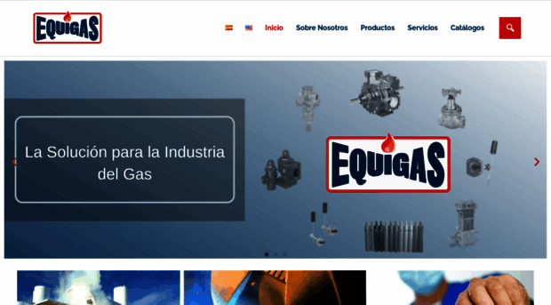 equigasinternational.com