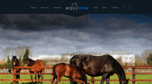 equilume.com