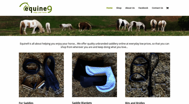 equine9.co.nz