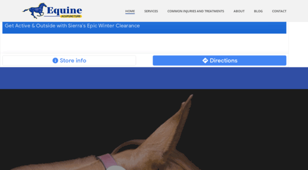 equineacupuncture.com.au