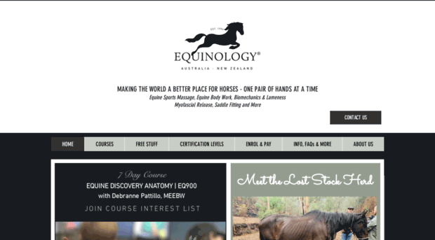 equinebodywork.com.au