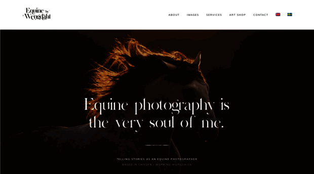 equinebywengdahl.com