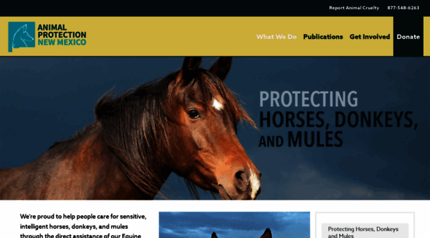 equineprotectionfund.org