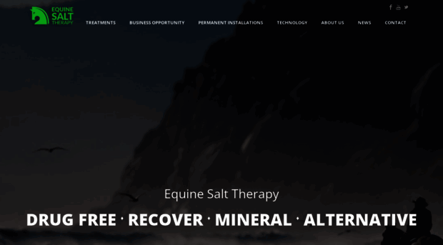 equinesalttherapy.com